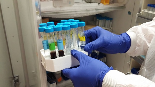 5. Для лучшего понимания генетической динамики каждого близнеца команда ученых сосредоточилась на химических изменениях в РНК и ДНК.