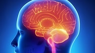 Sağlığın Temeli Beslenmedir! Peki Kötü Beslendiğimizde Organlarımızın Başına Neler Gelir?