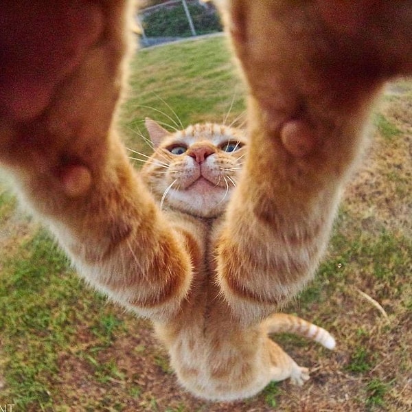 18. Как же без селфи.