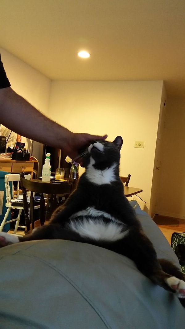 11. Поперечный шпагат.