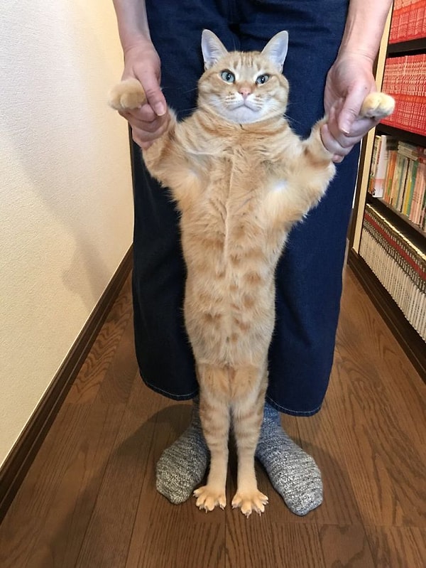 15. Ну как такого не похвалить?