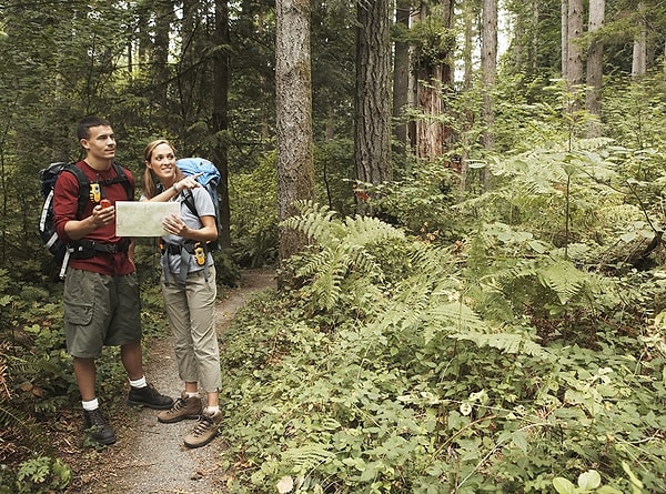 9. Кажется, вы случайно нашли компас. Куда всегда показывает его стрелка?