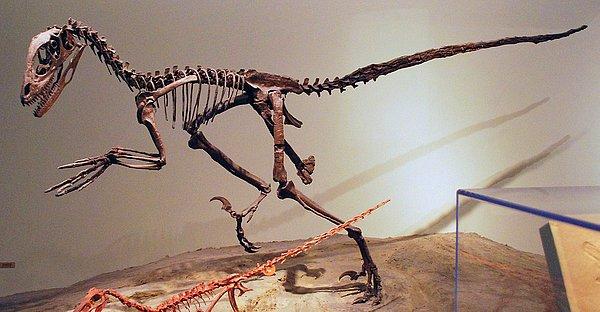 10. Dinozor Rönesans’ı - John Ostrom