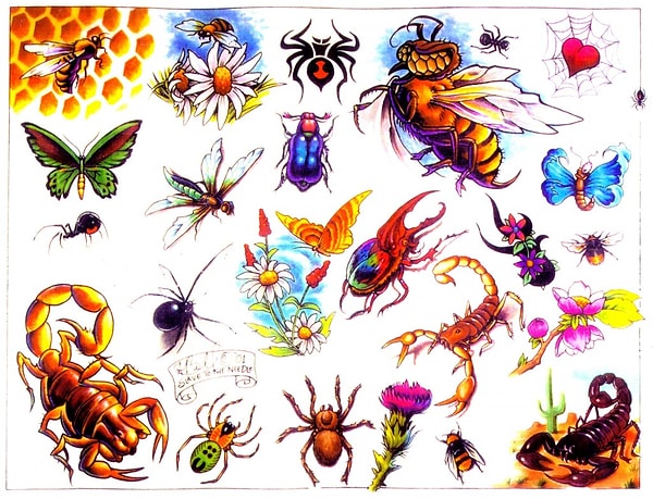 2. Самка какого насекомого отрывает голову самцу после спаривания?