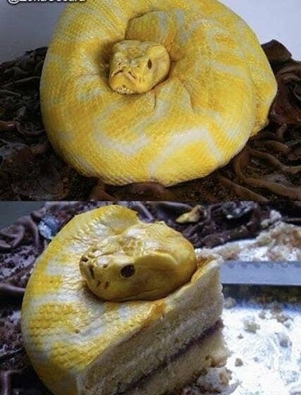 8. Как вам такой тортик?