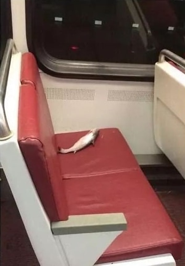 10. А это что ещё такое?