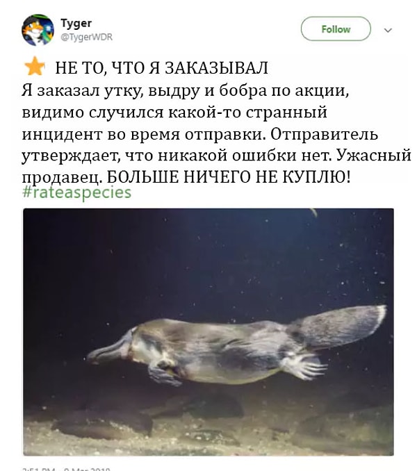 1. Вот поэтому всегда нужно читать отзывы!