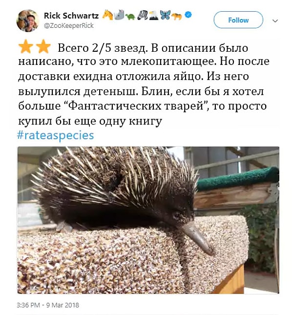 6. Поистине недооцененное существо