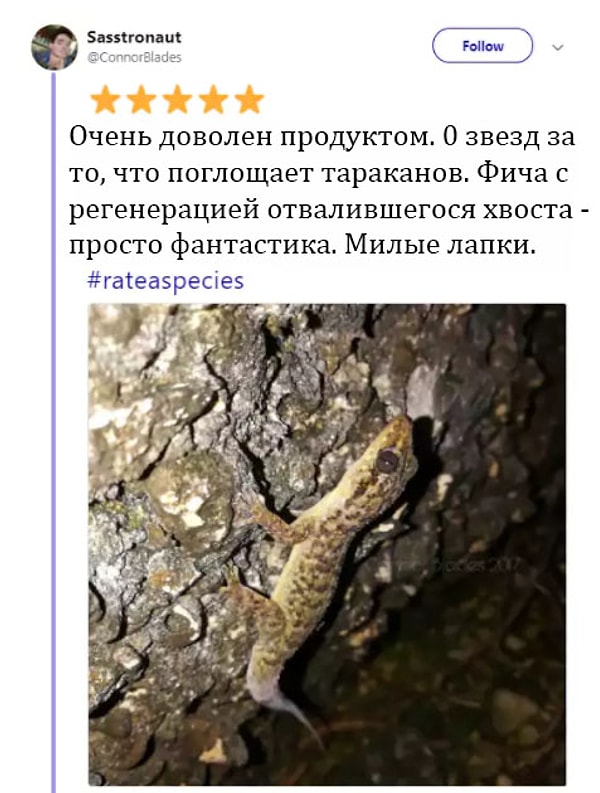 9. Фича с хвостом - однозначно плюс