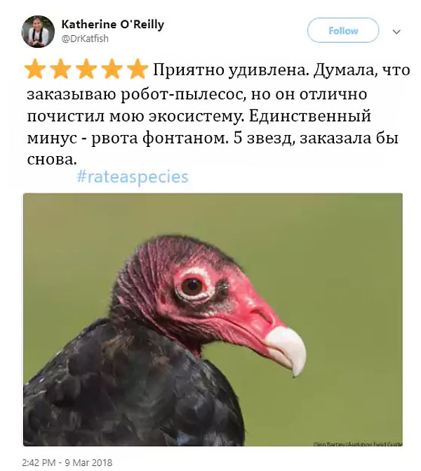 4. На вид не очень, но функцию свою выполняет