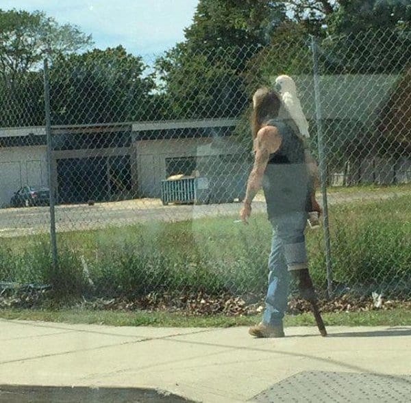 7. Когда у тебя деревянная нога, проще не бороться с шуточками на тему пиратов...