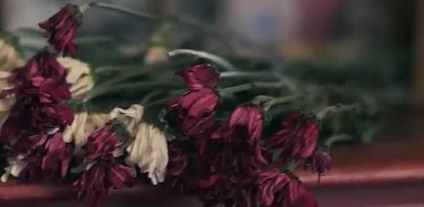 9. О чем вы подумали, как только увидели эти увядшие цветы?