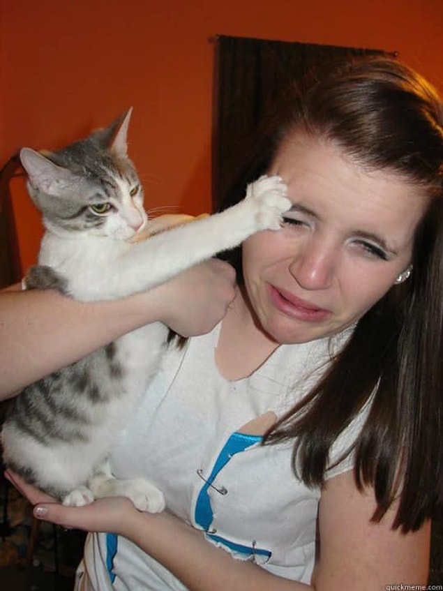 7. Bir kedi ile fotoğraf çekmek için, bunu önce onun istemesi lazım.