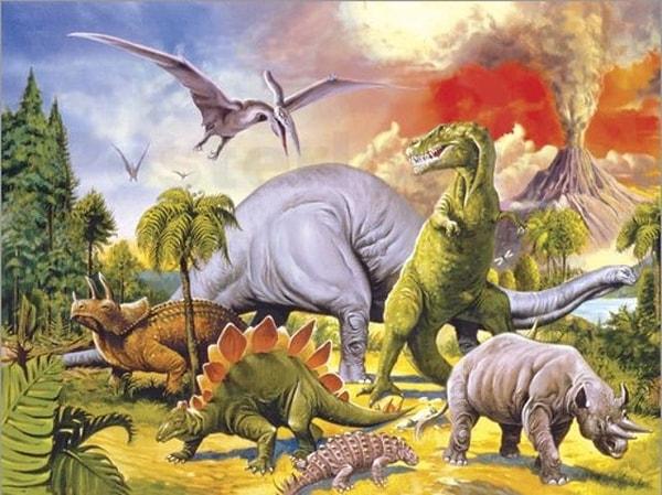 12. Triceratops vücut boyun oranı en yüksek dinazordur.