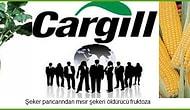 ABD'li Cargill Şirketinin Akp Hükümetine Verdiği Rapor ve Şeker Fabrikalarının 	Özelleştirilmesi;
