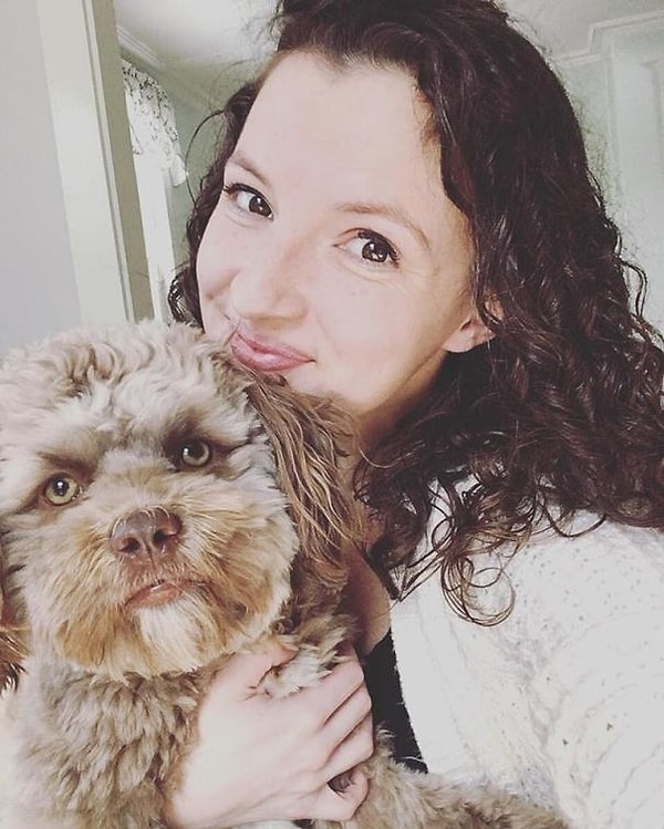 Независимо от того, насколько «человеческим лицом» обладает Йоги, на эту оптическую иллюзию большое влияние оказывает угол, под которым делается фотографии, и длина шерсти собачки.