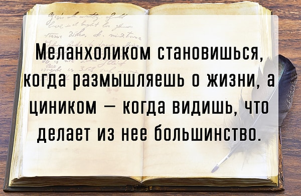 2. Из какого произведения эта цитата?