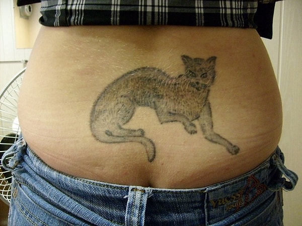 6. А шерсть то в 3D!