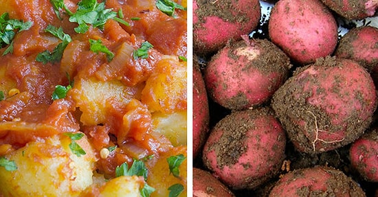 Вам разрешено есть картошку, только если вы наберёте в этом тесте хотя бы 9/12