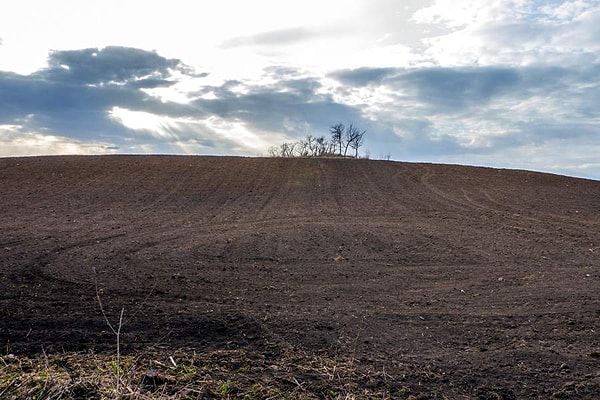 5. "Курган Синеуса", Волгоградская область