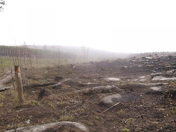 8. "Чертово кладбище", Красноярский край