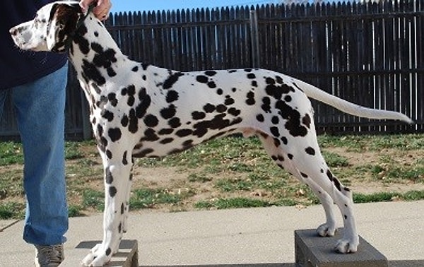 Показать правильный ответ