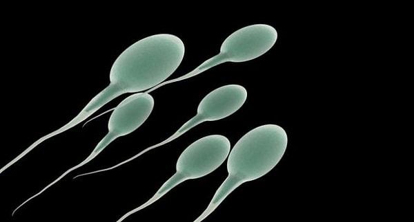 Düşük sperm sayısı sadece kısırlık ile sınırlı olmayabilir!
