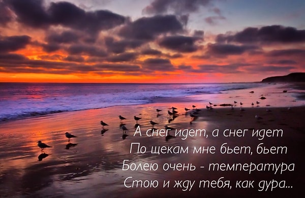 8. Узнаете эти строчки и их исполнителя?