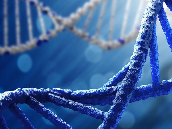 10. Если все спирали ДНК в человеческом теле растянуть в одну линию, то они достанут до Солнца и обратно 400 раз.