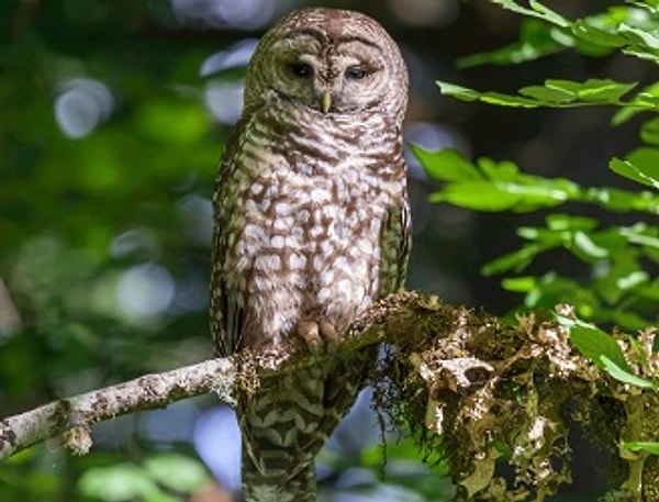 Показать правильный ответ