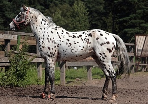 Показать правильный ответ