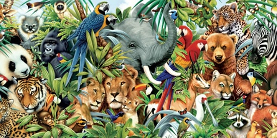 Только 1 человек из 50 способен узнать всех этих животных по узорам на шкуре