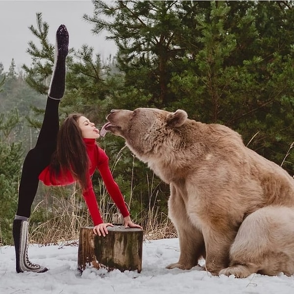 7. Впечатляет. Но еще больше впечатлило, если бы медведь тоже сделал шпагат 😄