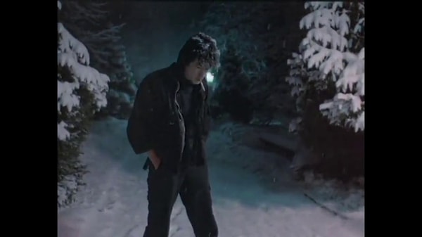 6. В каком из этих фильмов снялся Цой?