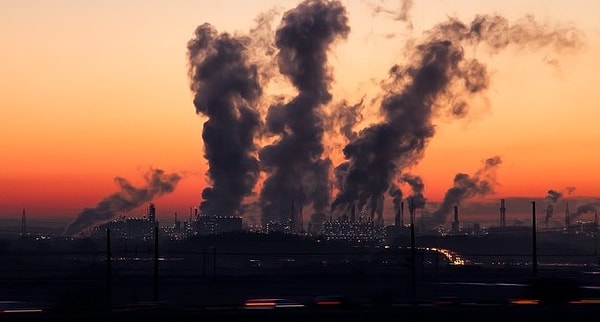 2. Письмо призвано подтолкнуть политических лидеров планеты к действиям по устранению основных угроз: изменение климата, исчезновение лесов, «мертвые зоны в океане» и т.д.