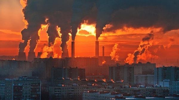 6. На данный момент добавилось еще 4,5 тыс. подписей, и их количество все еще растет.