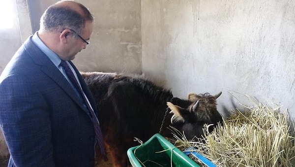 AKP Erzurum Milletvekili Deligöz: 'Hayvanların da hemcinsleri ile kalmalarının önemli olduğunu düşünüyorum'