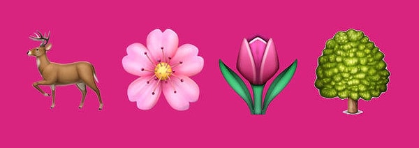 2. А что это за мульт?