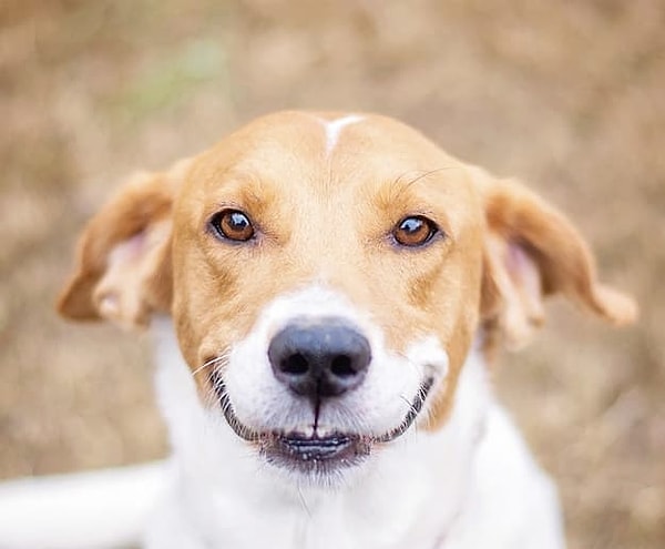 Показать правильный ответ