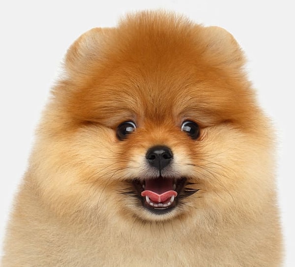 Показать правильный ответ