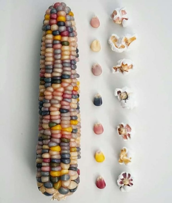 3. Вот это да!