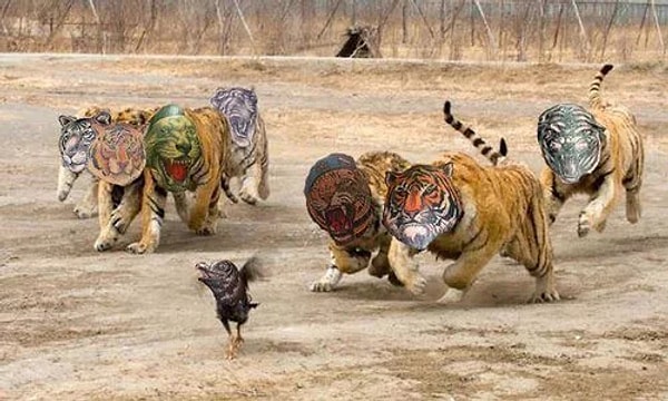 10. Целый зоопарк сказочных зверюшек