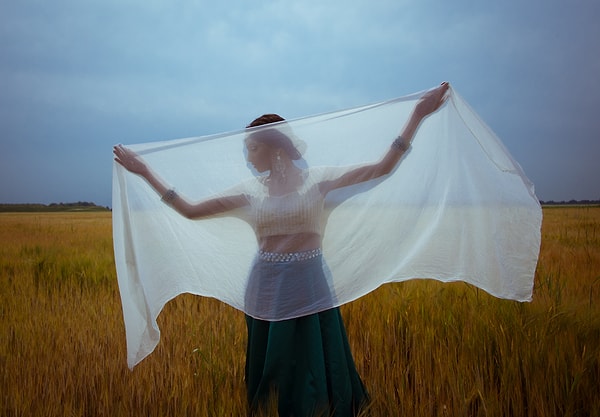 9. "Ниша в кукурузном поле"