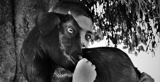 Объявлены победители фотоконкурса Sony World Photography 2018