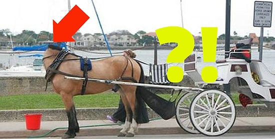 11 немыслимых фото, которые сделаны БЕЗ вмешательства Фотошопа!