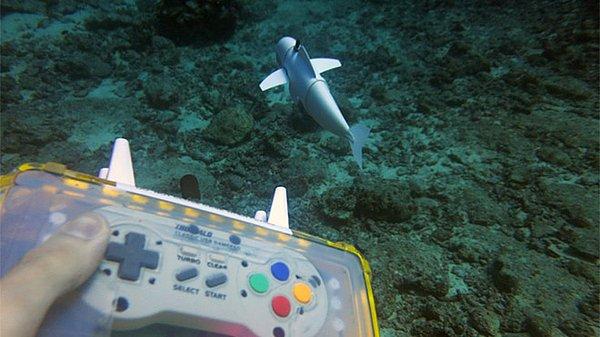 Uzaktan kumandalı olarak çalışan robot mercan resiflerindeki yaşamı ve su kalitesini inceleyecek.