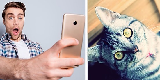 Тест: только особо внимательные люди смогут найти спрятанных котиков на этих изображениях