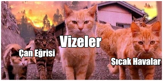 Zamanın Sanki Durduğu Vize Haftasının Endişesini Mizahıyla Harmanlayarak Güldürmüş 17 Paylaşım