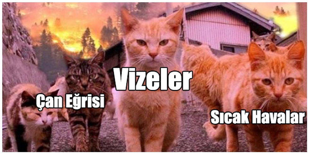 Zamanın Sanki Durduğu Vize Haftasının Endişesini Mizahıyla Harmanlayarak Güldürmüş 17 Paylaşım