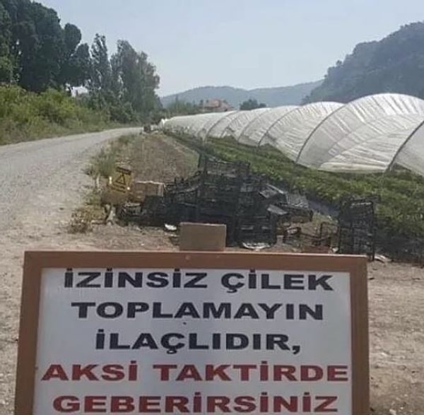 14. İzin alınca ilaçlamanın etkisi geçiyor demek...